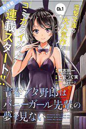 Seishun Buta Yarou wa Bunny Girl Senpai no Yume o Minai
