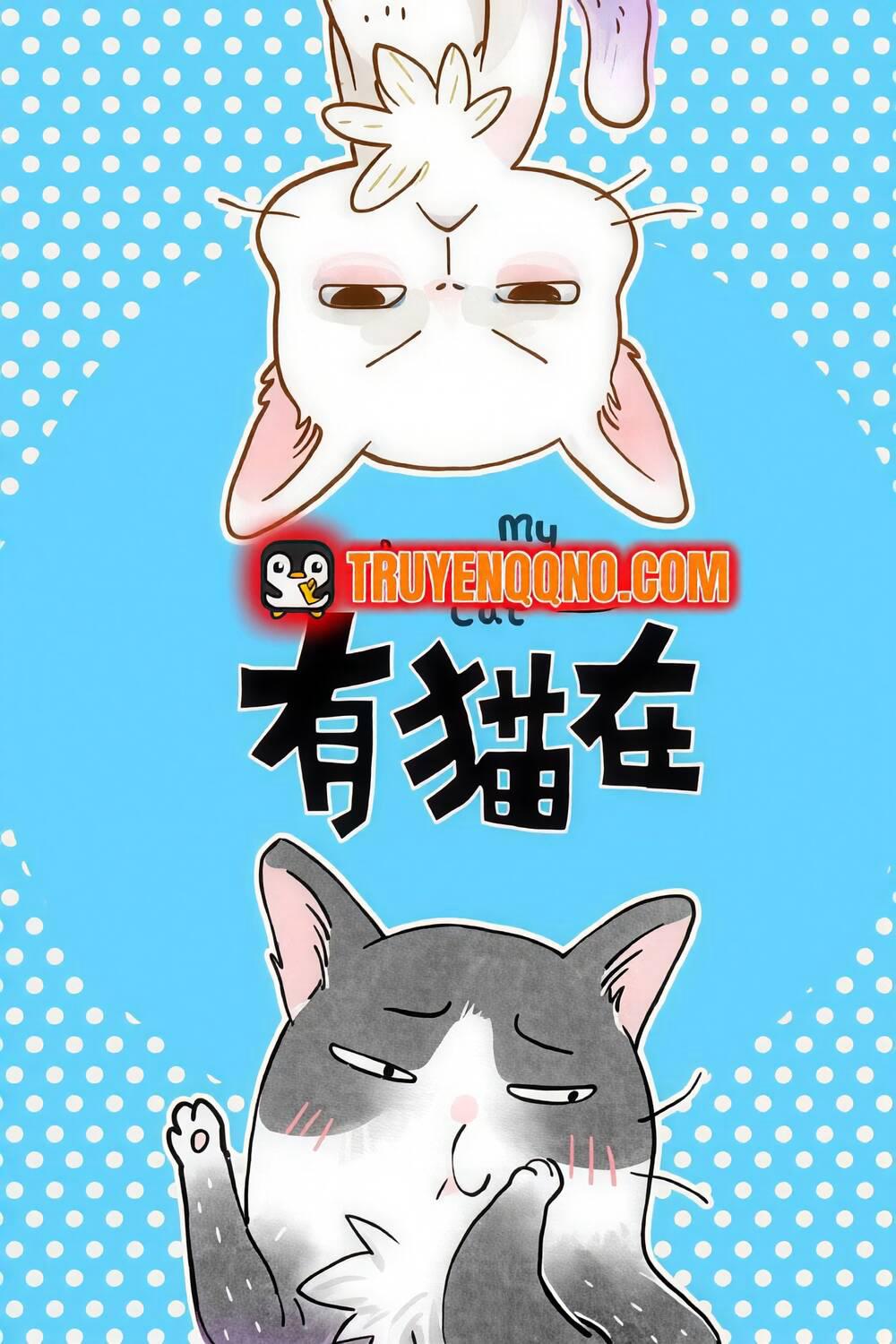 Ở Đây Có Mèo