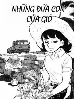 Những Đứa Con Của Gió